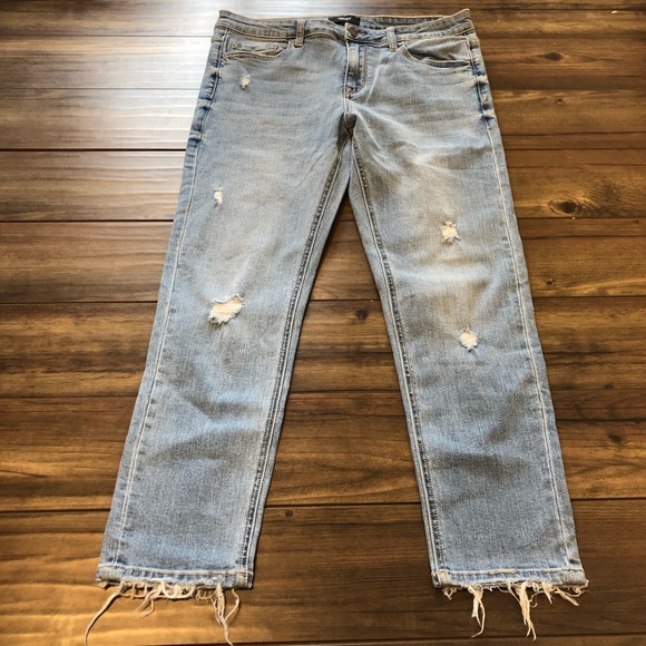 vervet by flying monkey